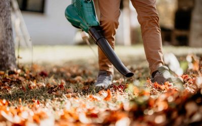 Leaf Blowing Services