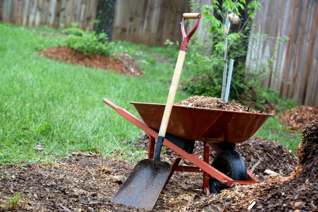 yard cleanup, cleaning flowerbeds