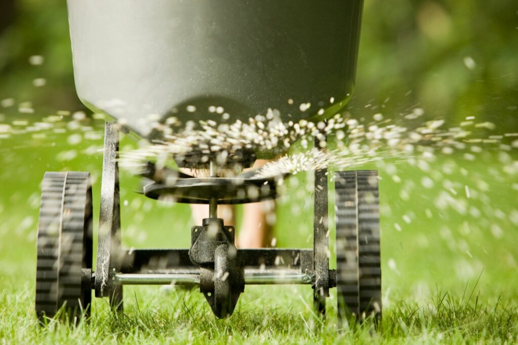 lawn fertilization