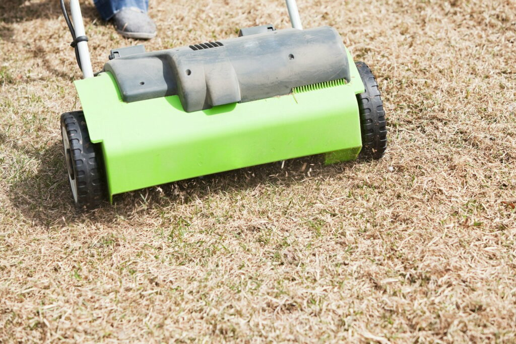 lawn dethatching and power raking