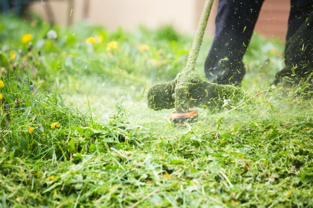 lawn care, weed wacking, edging