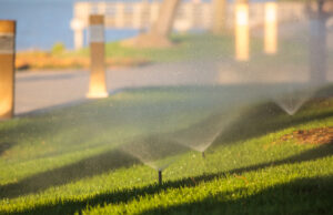 picture of less expensive sprinkler heads on automatic irrigation system